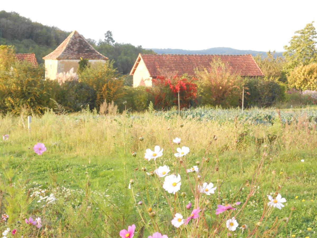 Chambres D'Hotes Le Roussel Le Buisson-de-Cadouin エクステリア 写真